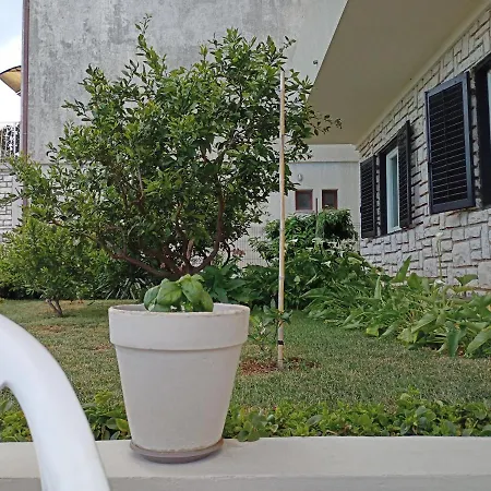 Cozy In The Center Apartment Pula